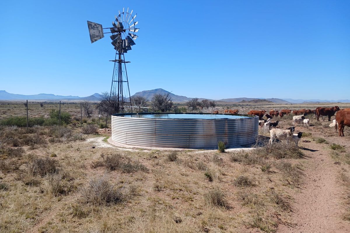 Uitsonderlike 1567.8819 ha Skaap en Beesplaas naby Cradock - Photo 2