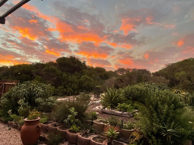 "New on the Market - Don't Miss Gem" - Photo 2