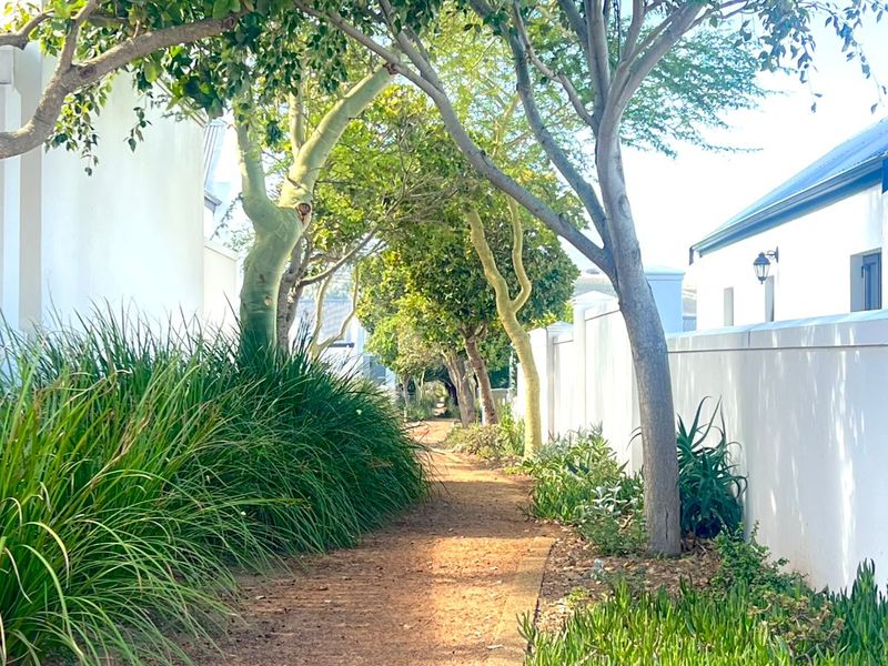 Garden Cottage to Rent – Croydon Olive Estate (Gated & Secure) - Photo 3