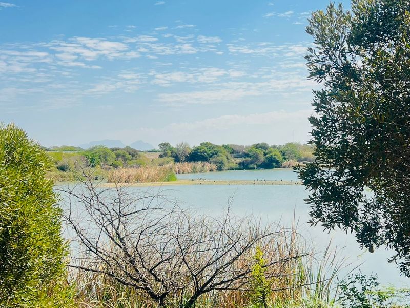 Garden Cottage to Rent – Croydon Olive Estate (Gated & Secure) - Photo 3