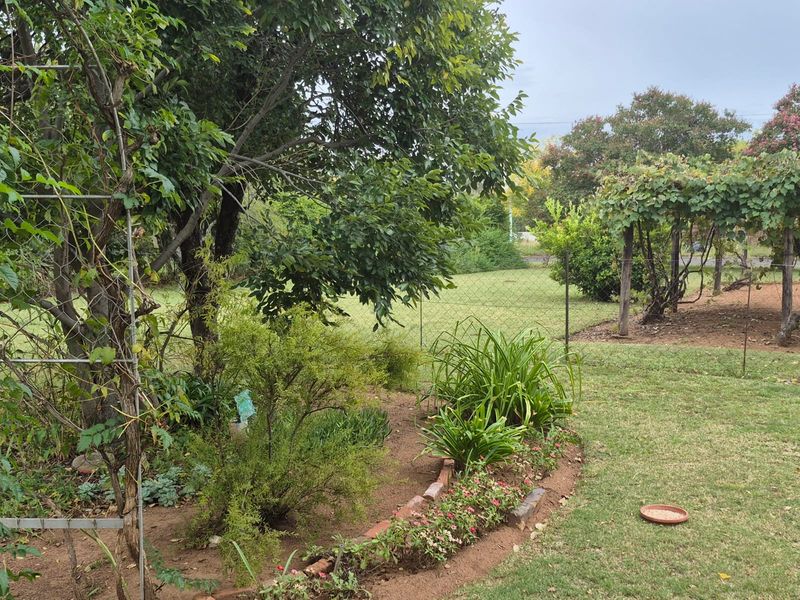 Classic Old Charm – A Perfect Start for First-Time Buyers or a Peaceful Retirement - Photo 8