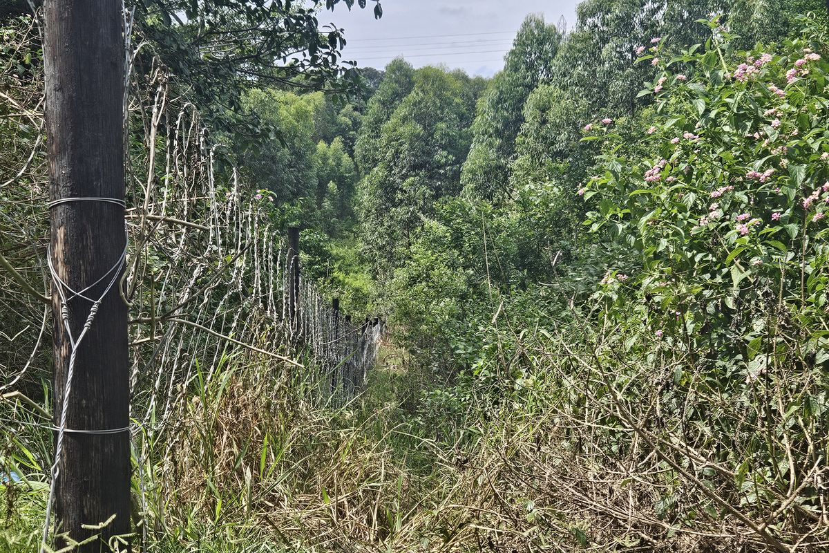 Prime Coastal Development Opportunity - Photo 4