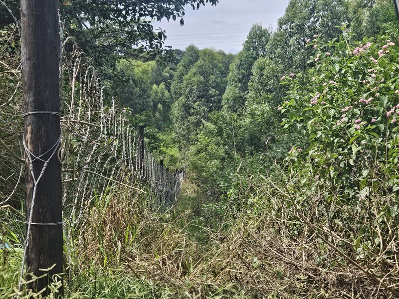 Prime Coastal Development Opportunity - Photo 4