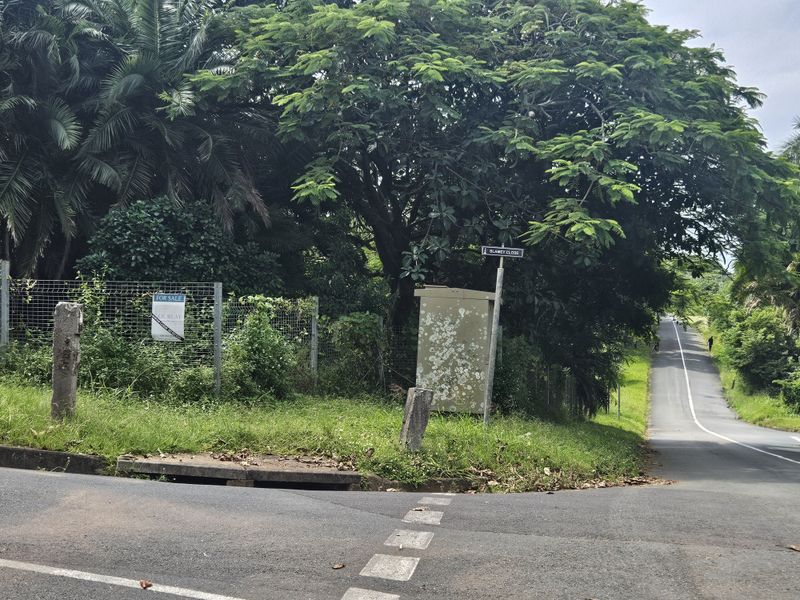 Prime Coastal Development Opportunity - Photo 6