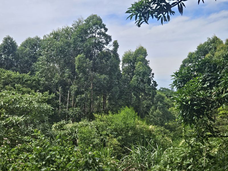 Prime Coastal Development Opportunity - Photo 9