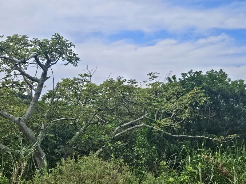 Prime Coastal Development Opportunity - Photo 8