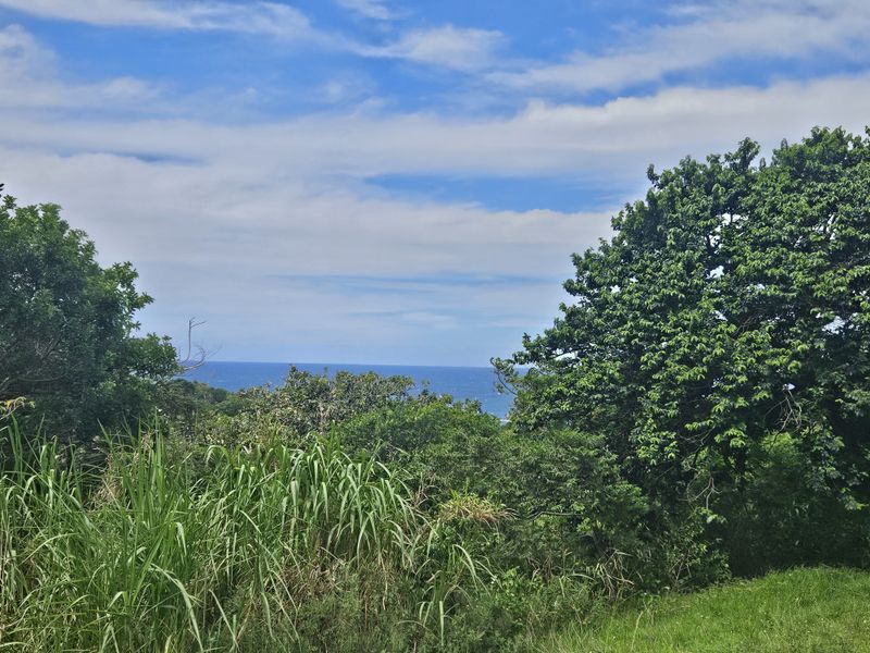 Prime Coastal Development Opportunity - Photo 2