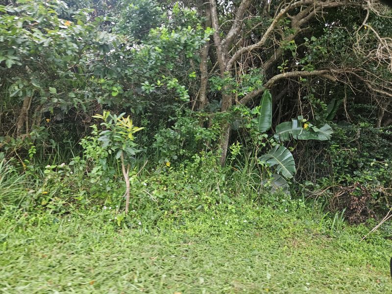 Prime Coastal Development Opportunity - Photo 7