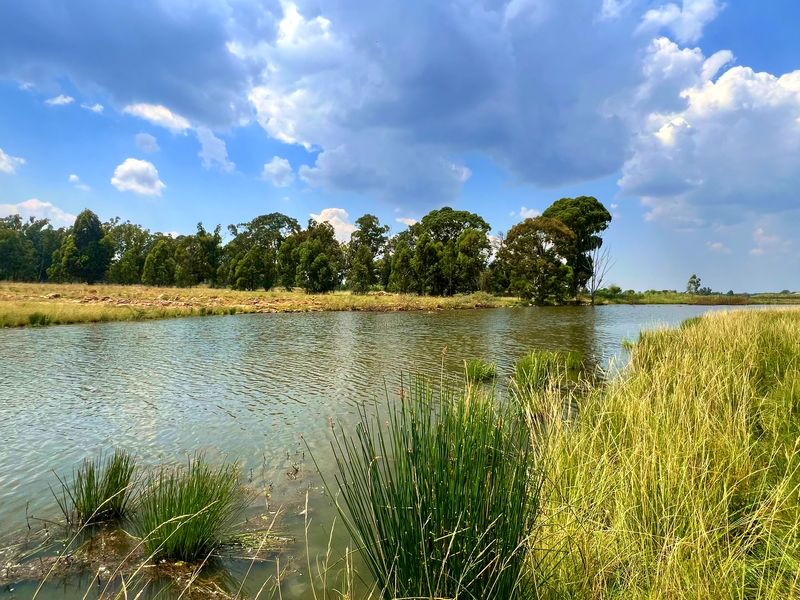 Premier Lifestyle & Investment Estate – 122ha Game Farm with Factories & Residence - Photo 9