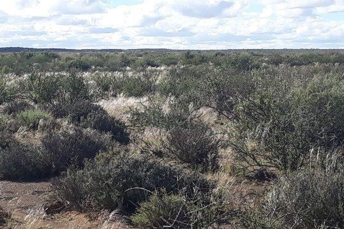 Brandvlei - 2  210.3894 ha - Photo 3