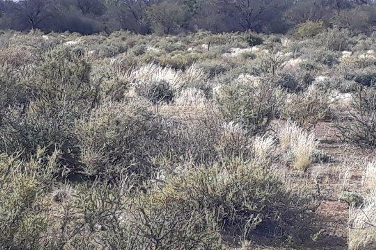 Brandvlei - 2  210.3894 ha - Photo 2