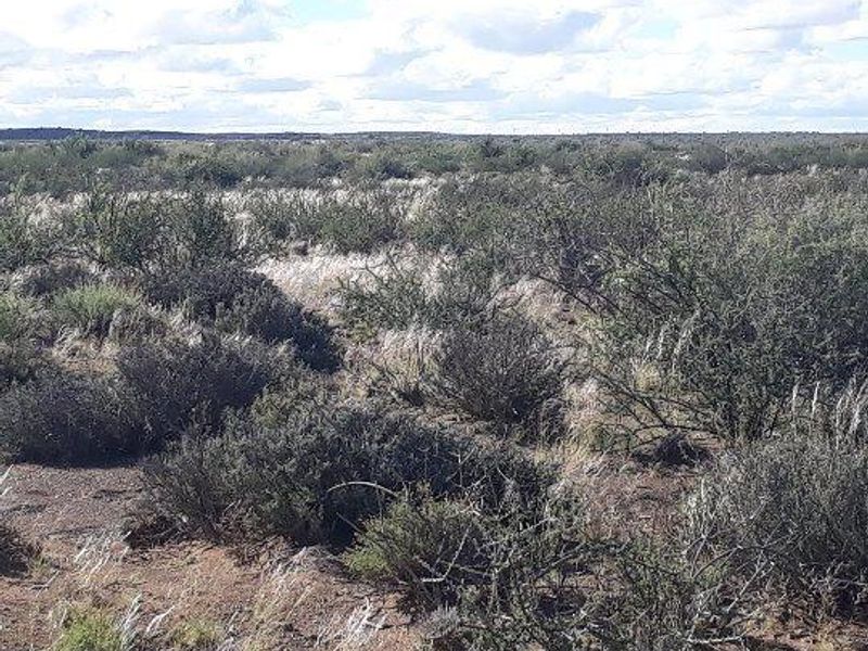 Brandvlei - 2  210.3894 ha - Photo 6