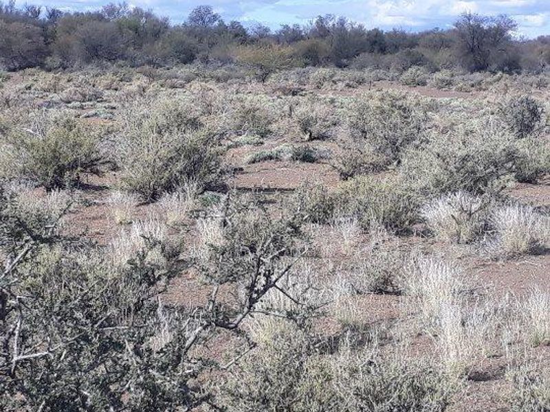 Brandvlei - 2  210.3894 ha - Photo 8