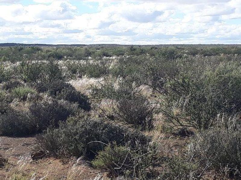 Brandvlei - 2  210.3894 ha - Photo 3