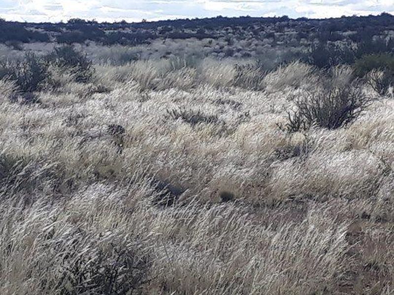 Brandvlei - 2  210.3894 ha - Photo 4