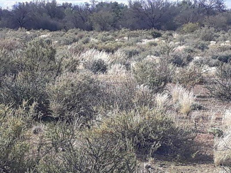 Brandvlei - 2  210.3894 ha - Photo 2