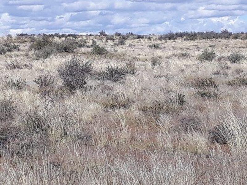 Brandvlei - 2  210.3894 ha - Photo 9