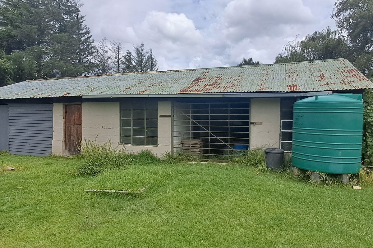 Freestanding For Sale In Memel - Photo 4