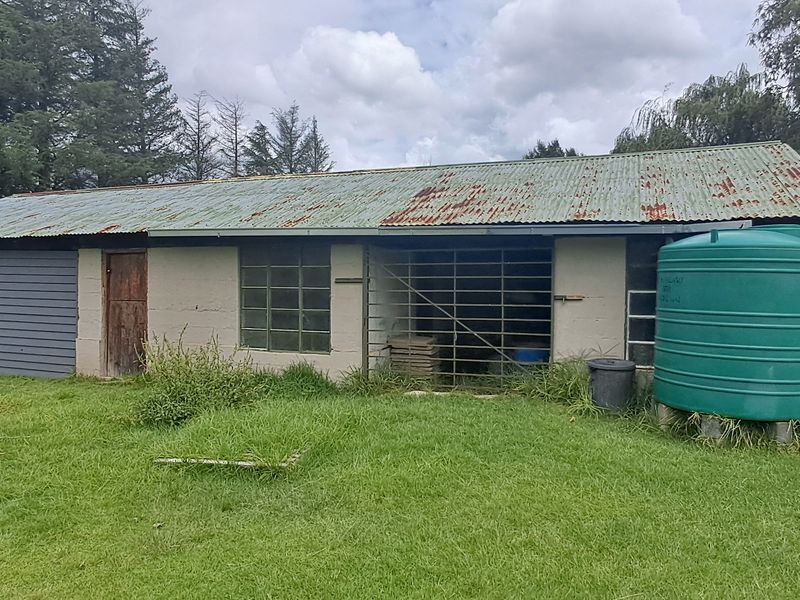 Freestanding For Sale In Memel - Photo 4