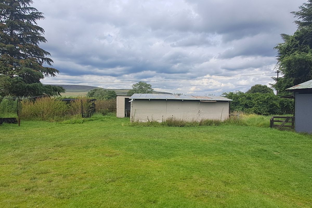 Freestanding For Sale In Memel - Photo 5