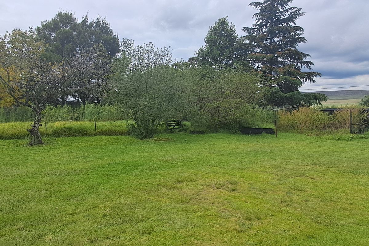 Freestanding For Sale In Memel - Photo 2