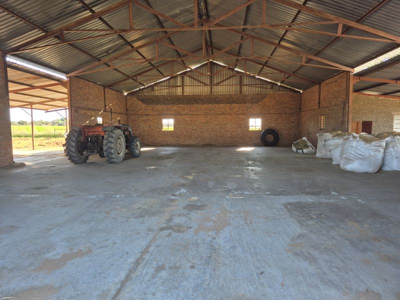 Riverside Property on the Vaal – Spacious Home, Solar Power & Exceptional Lifestyle Opportunity - Photo 4