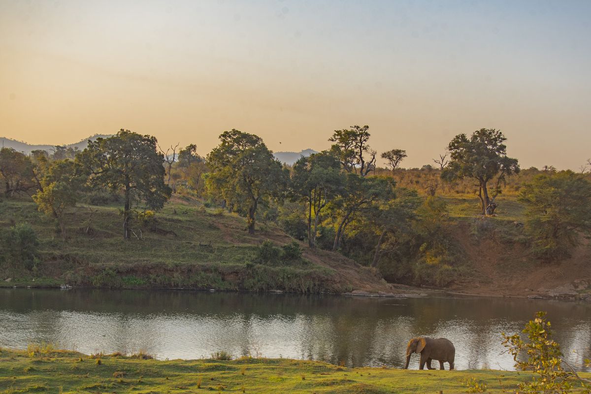 Last of the Crocodile river stands, magnificent private views into Kruger National Park - Photo 2
