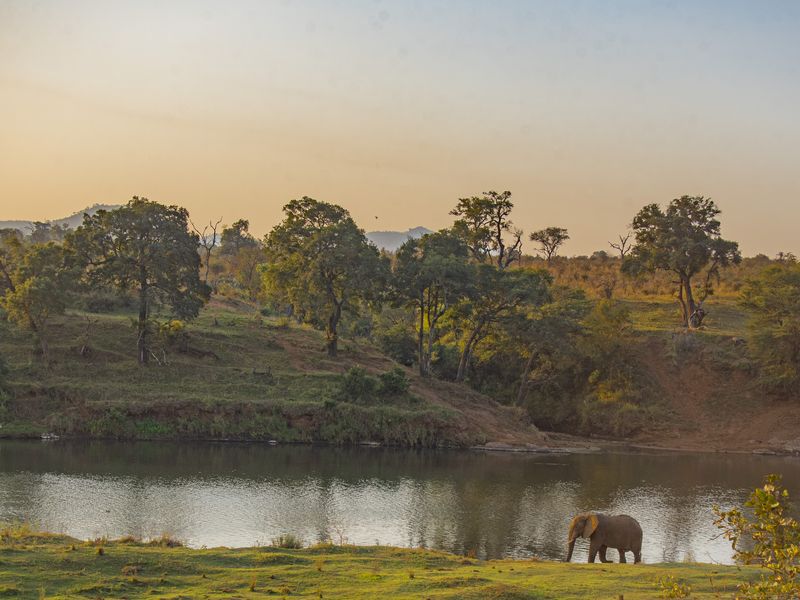 Last of the Crocodile river stands, magnificent private views into Kruger National Park - Photo 2