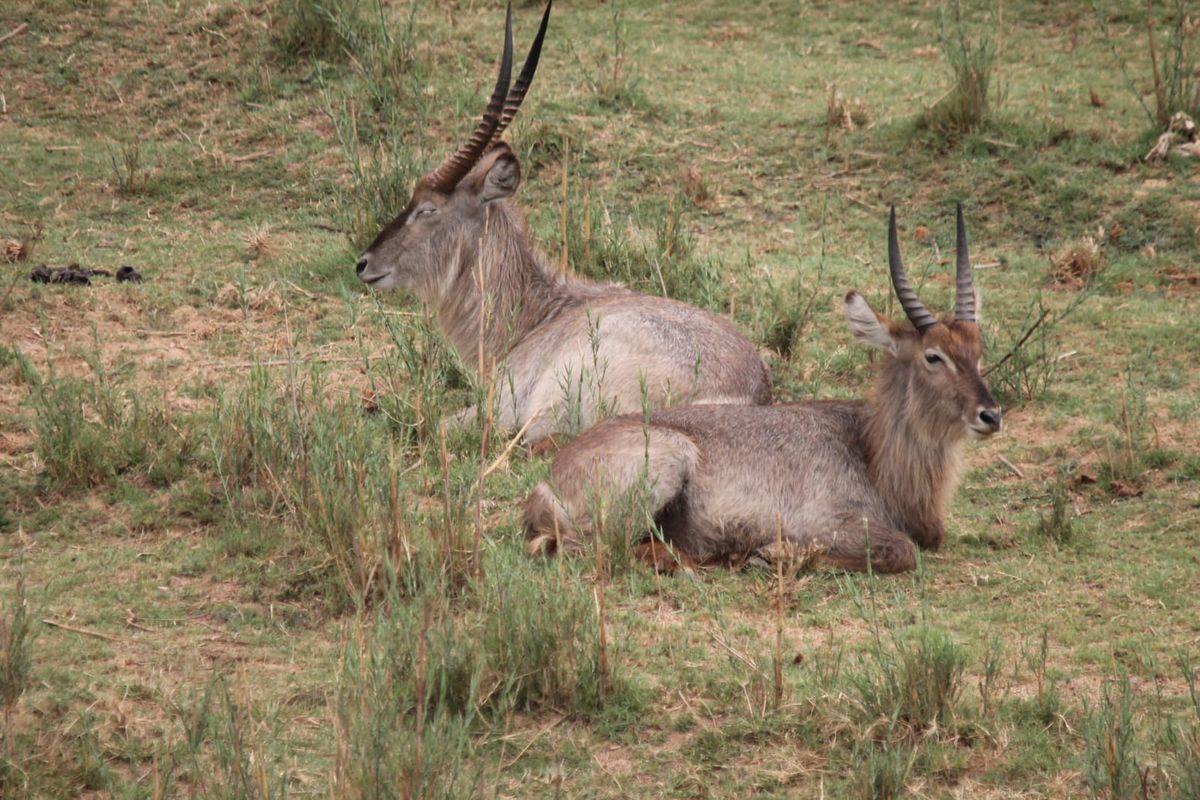 Glorious Kruger National Park river stands - Photo 4