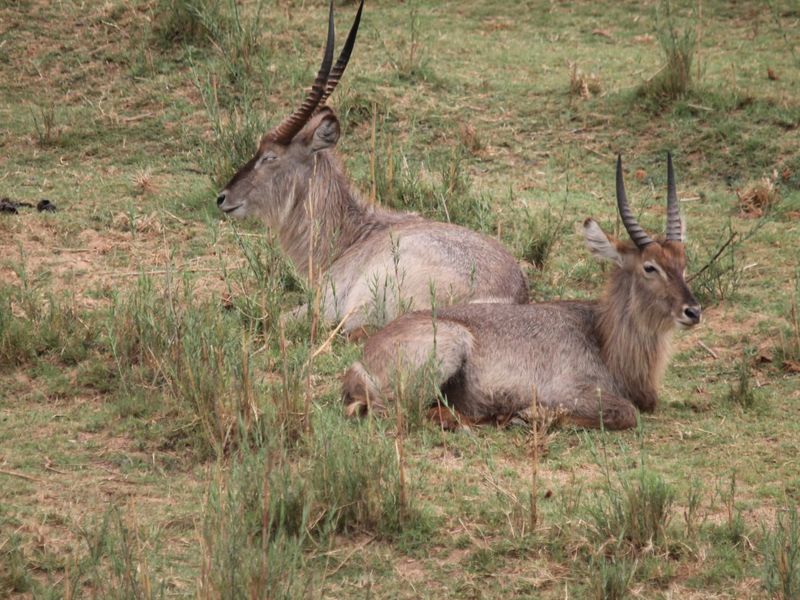 Glorious Kruger National Park river stands - Photo 4