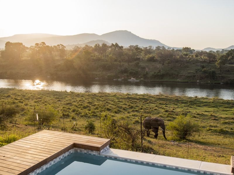 Glorious Kruger National Park river stands - Photo 8