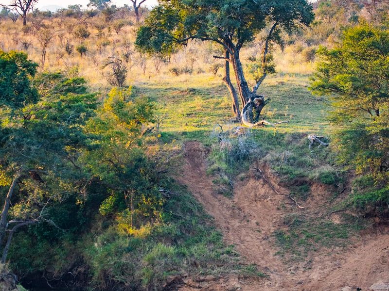 Glorious Kruger National Park river stands - Photo 5