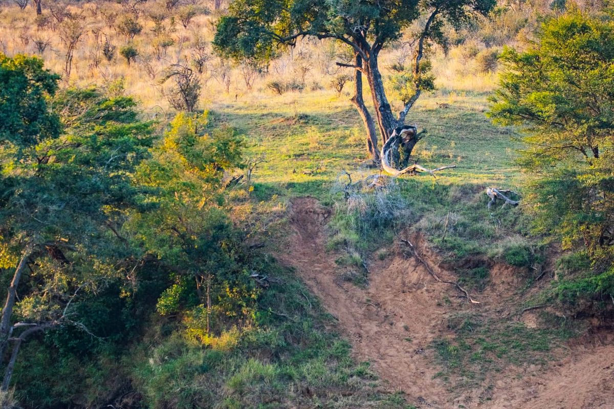 Glorious Kruger National Park river stands - Photo 4