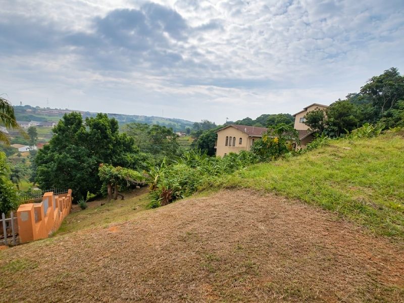 A view of the sloped residential land featuring mature trees, natural vegetation, and a retaining wall, overlooking the surrounding landscape.
