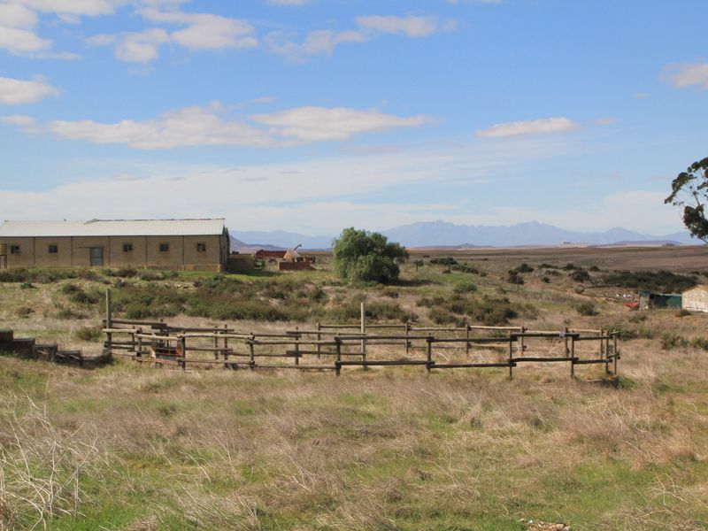 HOPEFIELD PLAAS - 392 Ha - Photo 6