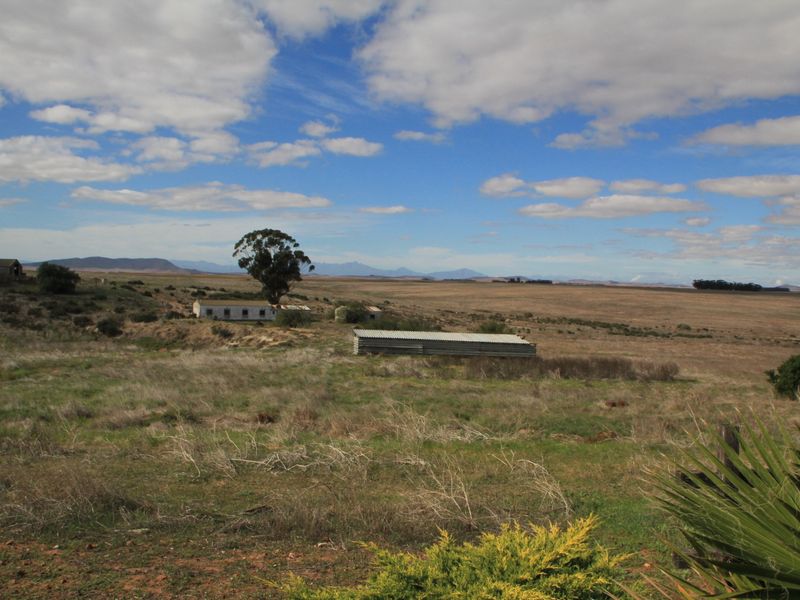 HOPEFIELD PLAAS - 392 Ha - Photo 2