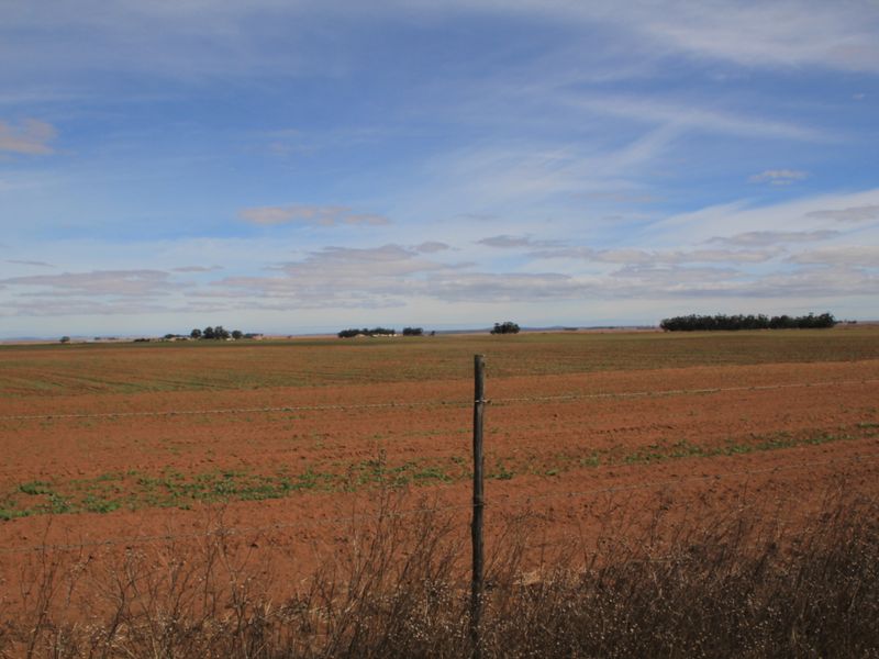 HOPEFIELD PLAAS - 392 Ha - Photo 10