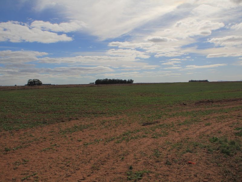 HOPEFIELD PLAAS - 392 Ha - Photo 9