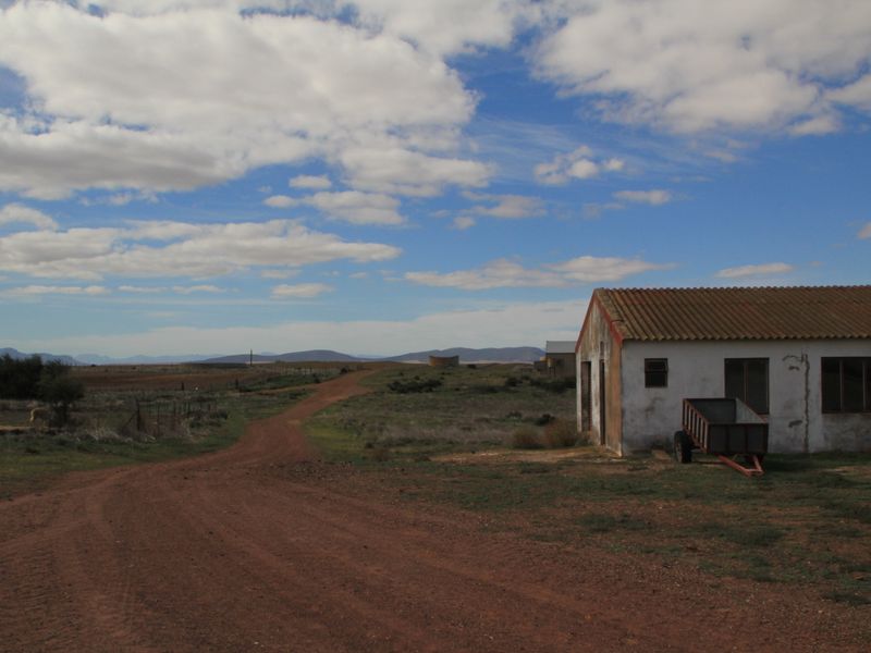 HOPEFIELD PLAAS - 392 Ha - Photo 7