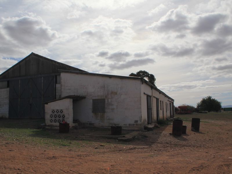 HOPEFIELD PLAAS - 392 Ha - Photo 5