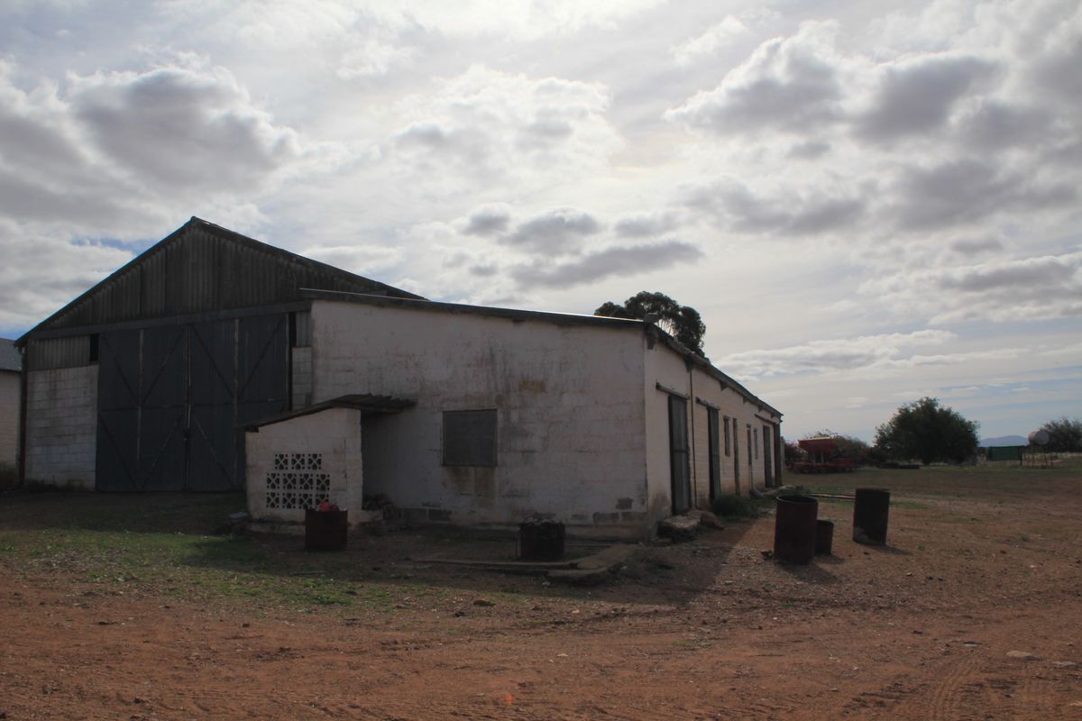 HOPEFIELD PLAAS - 392 Ha - Photo 5