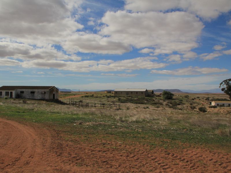 HOPEFIELD PLAAS - 392 Ha - Photo 4