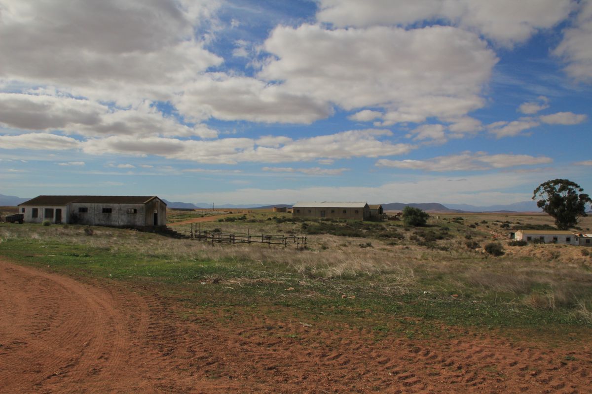 HOPEFIELD PLAAS - 392 Ha - Photo 4