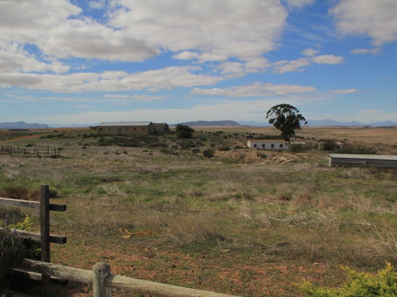 HOPEFIELD PLAAS - 392 Ha - Photo 3