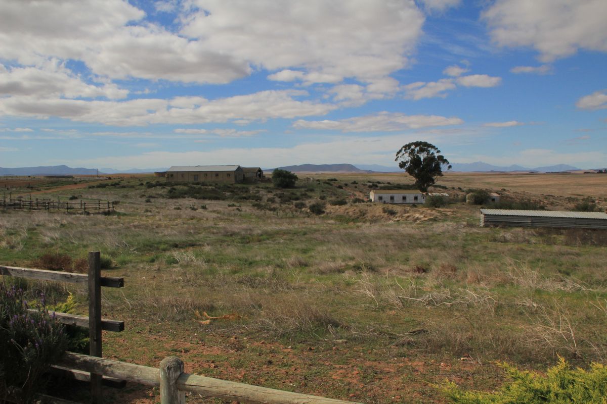 HOPEFIELD PLAAS - 392 Ha - Photo 3