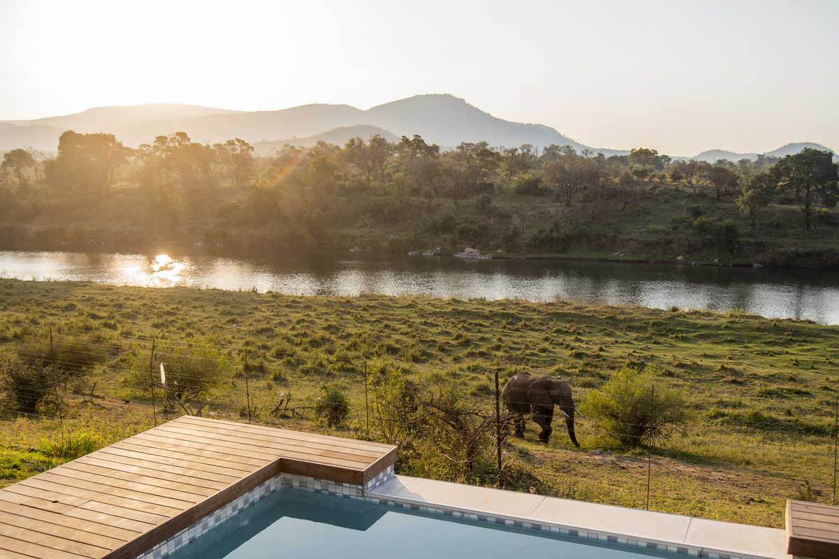 Heaven on your doorstep.  :  Private Crocodile River & Kruger National Park view - Photo 5