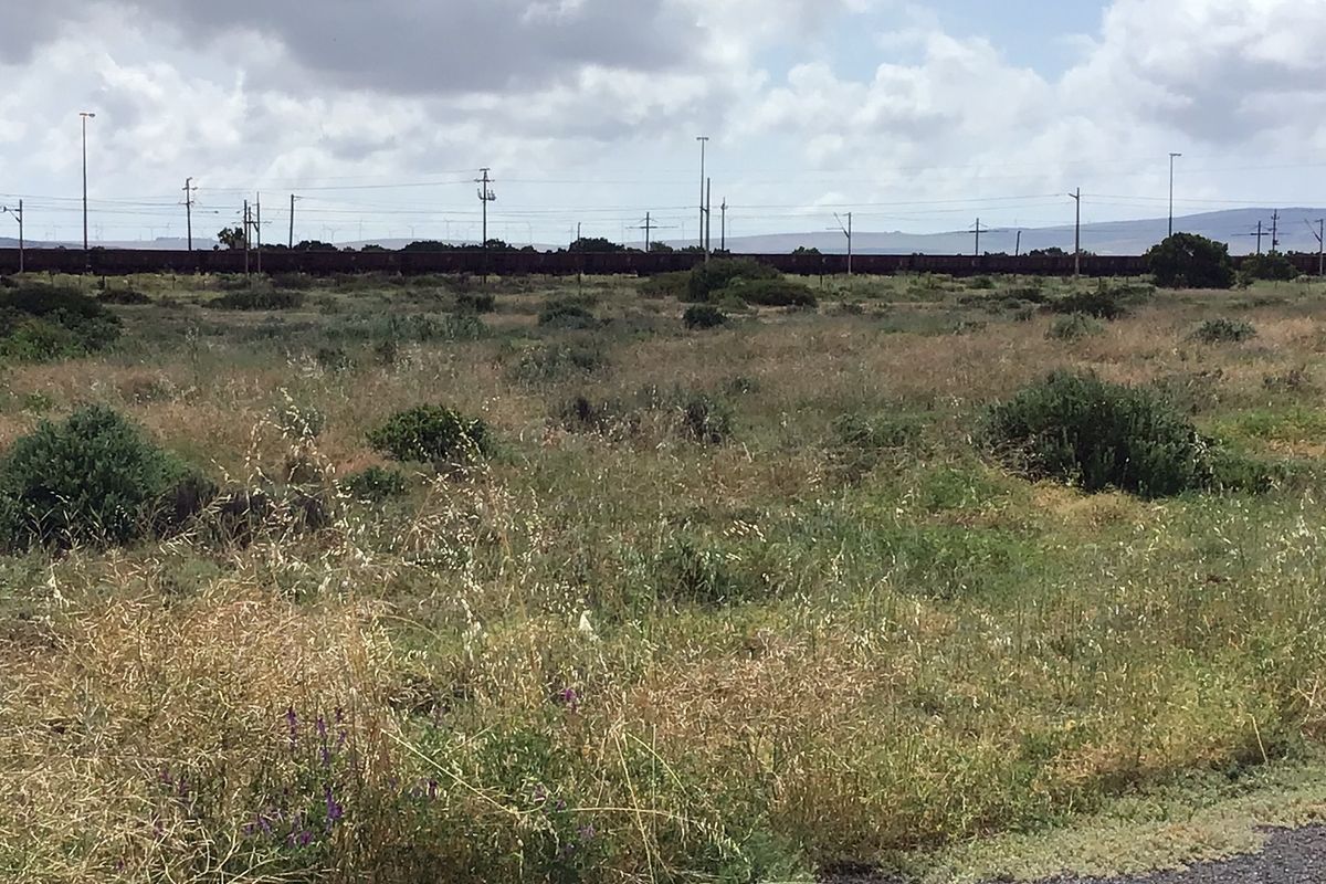 Vacant Industrial Land - Photo 4