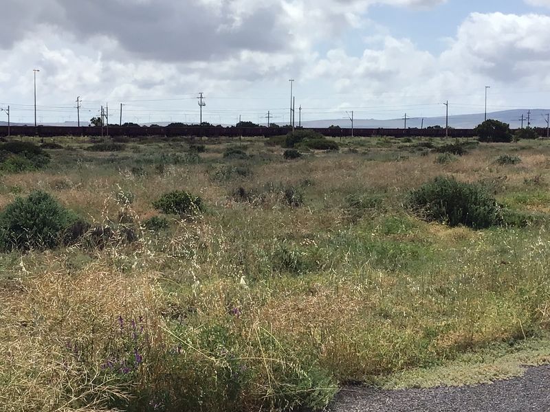 Vacant Industrial Land - Photo 4