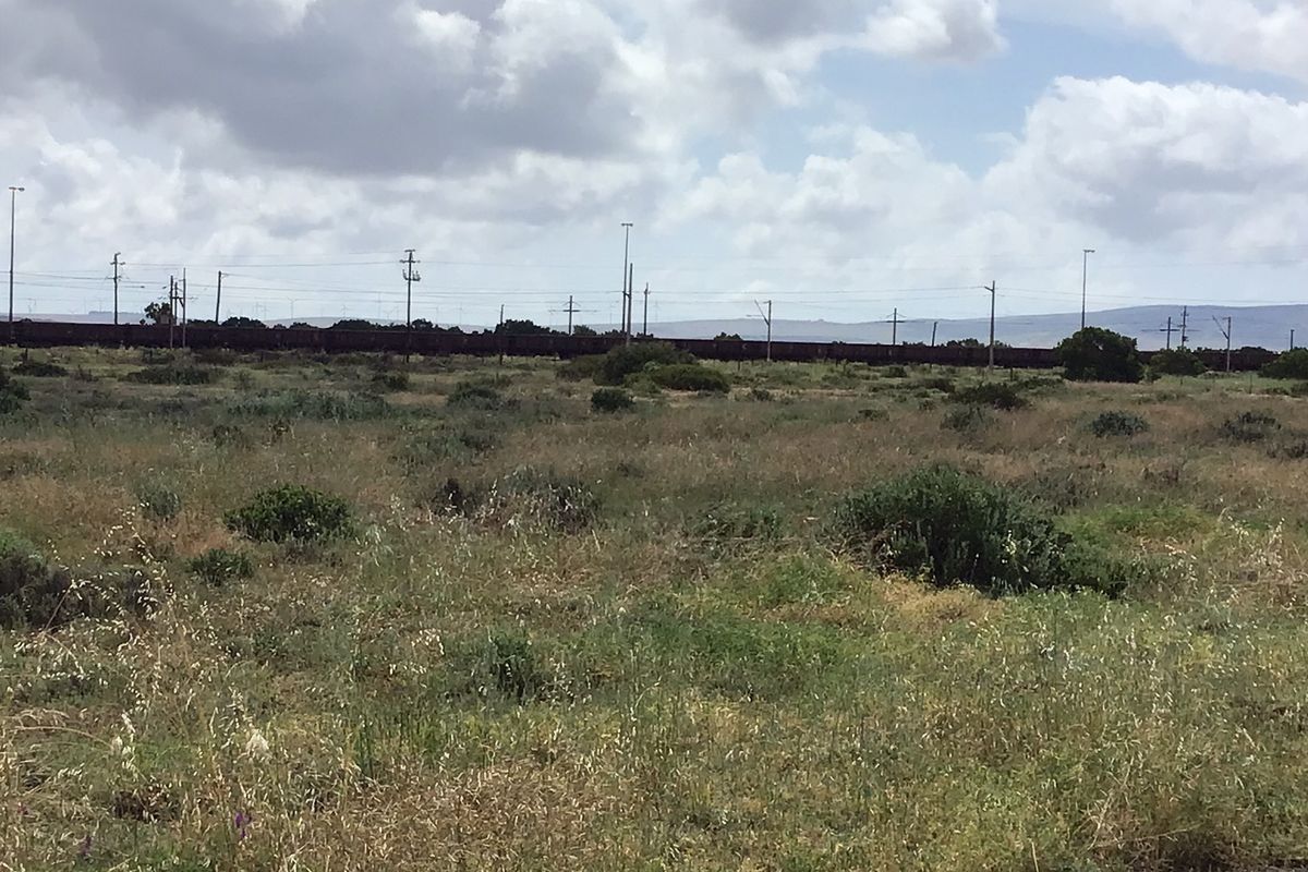 Vacant Industrial Land - Photo 5