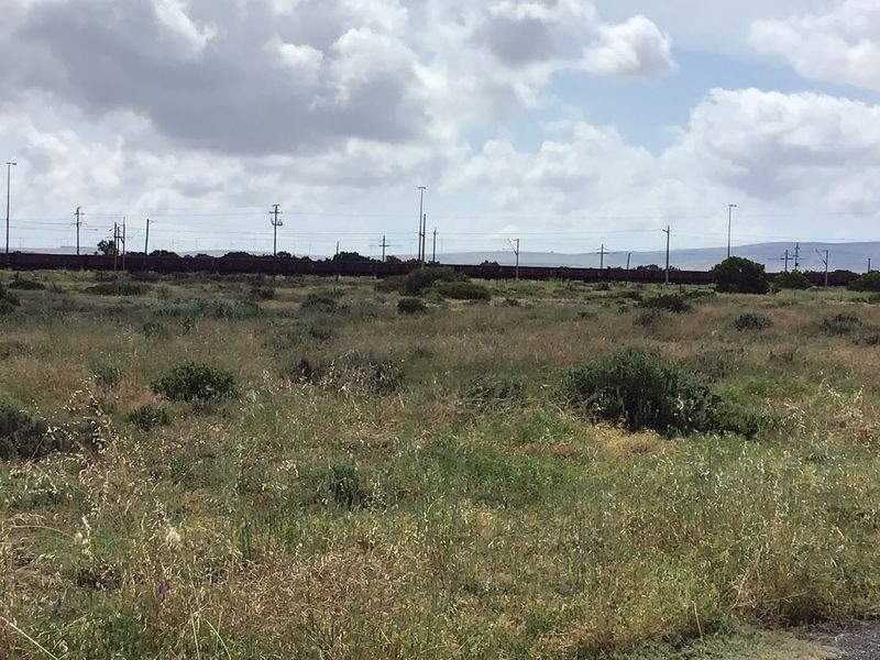 Vacant Industrial Land - Photo 5